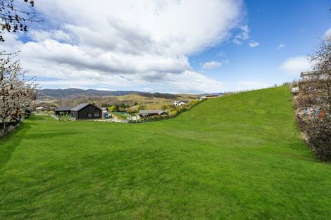 Photo of property in 49 Hall Road, Bannockburn, Cromwell, 9384