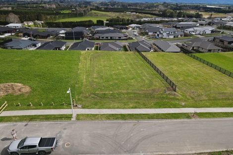 Photo of property in 10 Kuaka Rise, Omokoroa, 3114