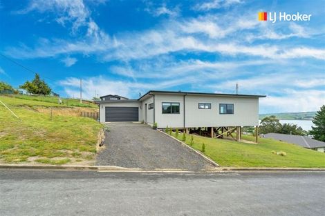 Photo of property in 38 Nore Street, Waihola, Milton, 9073