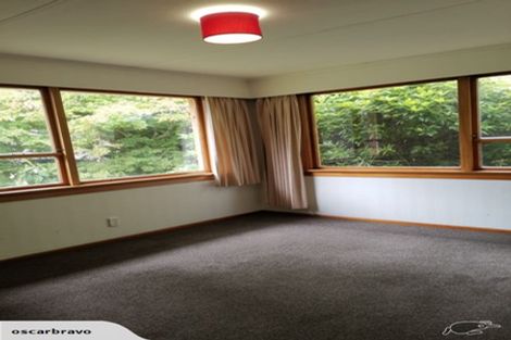 Photo of property in 191 Evans Street, Opoho, Dunedin, 9010