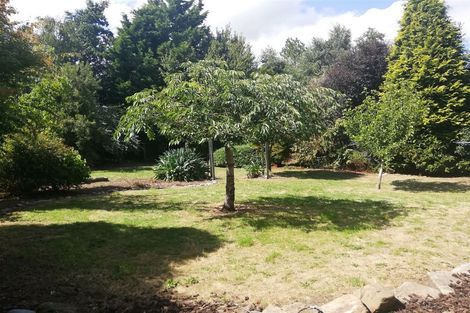 Photo of property in 31 Garden Street, Lumsden, 9730