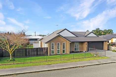 Photo of property in 47 Albert Street, Netherby, Ashburton, 7700