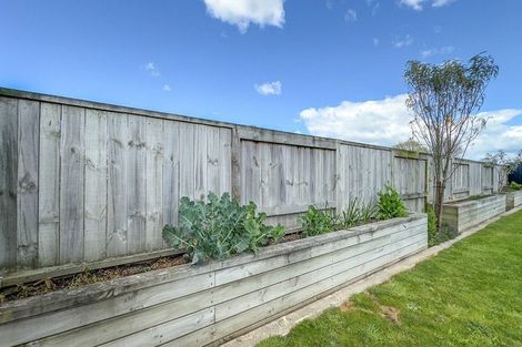 Photo of property in 20 Sadie Drive, Matamata, 3400