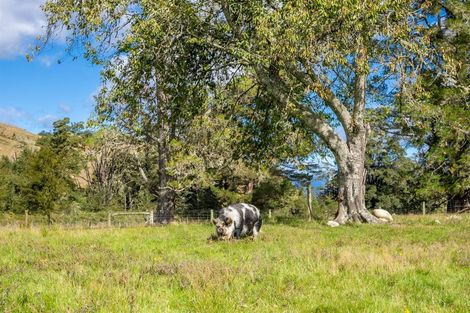 Photo of property in 61 Matiri West Bank Road, Matiri, Murchison, 7077