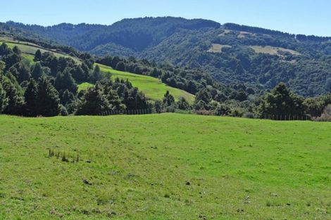 Photo of property in 128 Schollum Road, Big Omaha, Warkworth, 0985