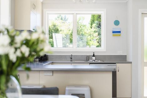 Photo of property in 25 Duckworth Street, Andersons Bay, Dunedin, 9013