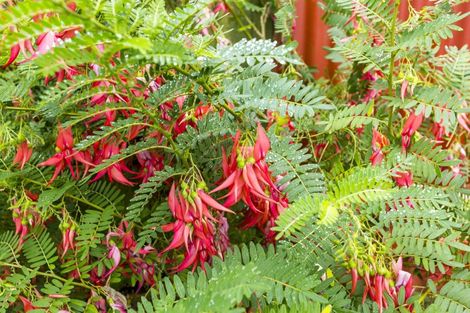 Photo of property in 3 Topaz Street, Birchville, Upper Hutt, 5018