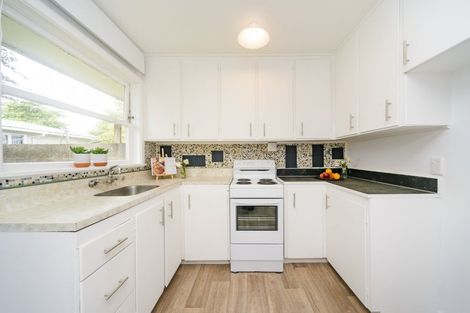 Photo of property in 52 Lancaster Street, Takaro, Palmerston North, 4412