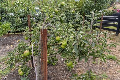 Photo of property in 274 Rapson Road, Kaukapakapa, 0871