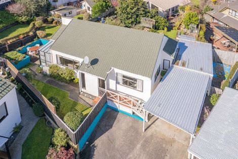 Photo of property in 22 Treadwell Street, Springvale, Whanganui, 4501