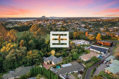 Photo of property in 38 Revell Drive, Ohauiti, Tauranga, 3112