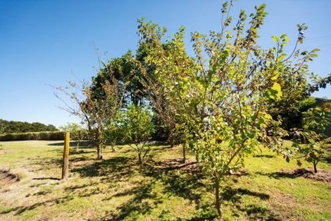 Photo of property in 284 Kokopu Road, Ruatangata West, Whangarei, 0179