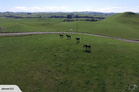 Photo of property in 761 Crownthorpe Sett Road, Crownthorpe, Hastings, 4179