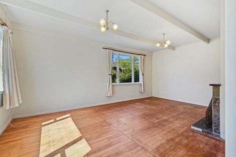 Photo of property in 57 Leslie Street, Waiau, 7332