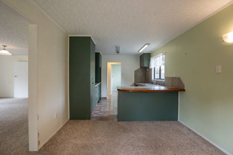 Photo of property in 102 Taupahi Road, Turangi, 3334