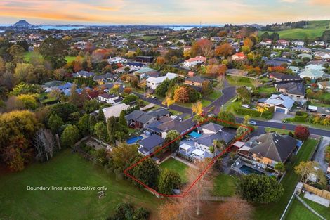 Photo of property in 19 Revell Drive, Ohauiti, Tauranga, 3112