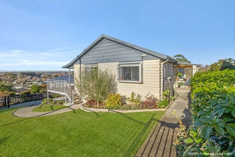 Photo of property in 23 Darby Street, Geraldine, 7930