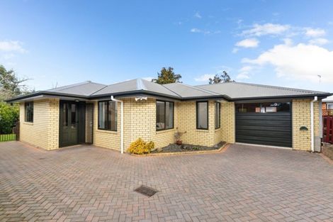 Photo of property in 19 Goodall Street, Dinsdale, Hamilton, 3204