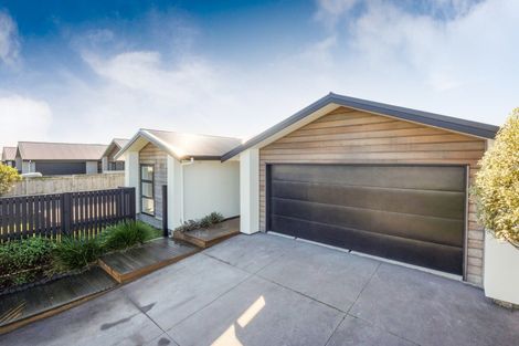 Photo of property in 39a Ward Street, Palmerston North, 4410