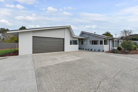 Photo of property in 172 Thorp Street, Motueka, 7120