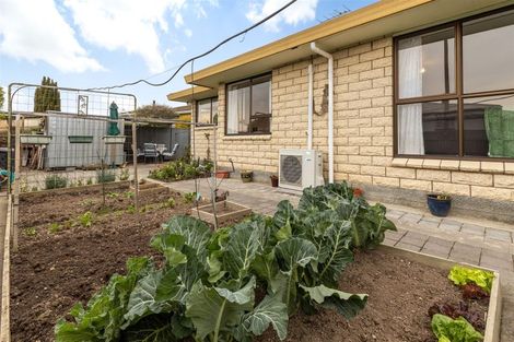 Photo of property in 147 Howick Road, Witherlea, Blenheim, 7201