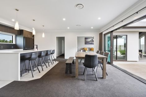 Photo of property in 170 Shirriffs Road, Awapuni, Palmerston North, 4412