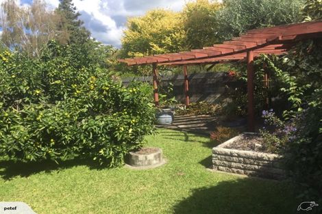 Photo of property in 17 Norrie Street, Te Puke, 3119