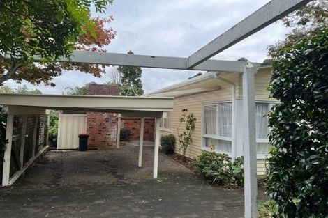 Photo of property in 13 Gregory Place, Mount Roskill, Auckland, 1041