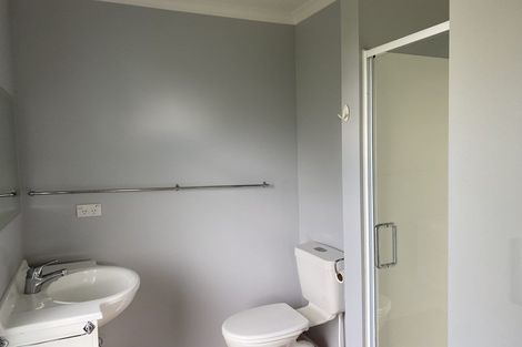 Photo of property in 110a Lewis Street, Glenview, Hamilton, 3206