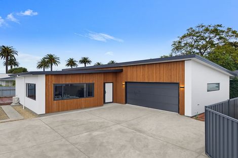 Photo of property in 42a Higgins Street, Marewa, Napier, 4110