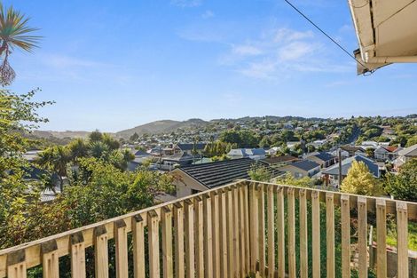 Photo of property in 51 Buccleugh Street, North East Valley, Dunedin, 9010