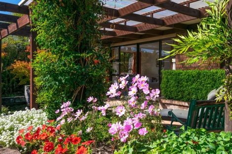 Photo of property in 15 Morrington Terrace, Witherlea, Blenheim, 7201