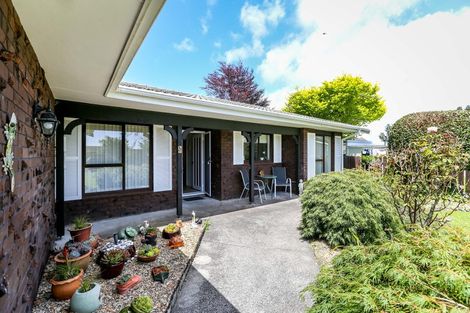 Photo of property in 7 Alpine Grove, Upper Vogeltown, New Plymouth, 4310