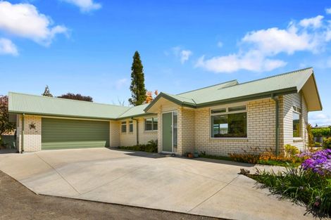 Photo of property in 49b Alexander Avenue, Whakatane, 3120