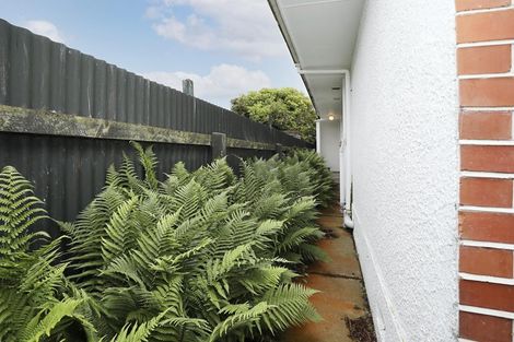 Photo of property in 161 Wilton Street, Rosedale, Invercargill, 9810