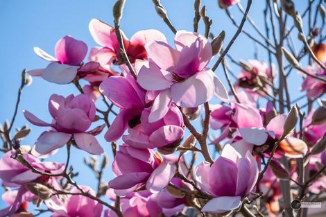 Photo of property in 14a Totara Street, Trentham, Upper Hutt, 5018