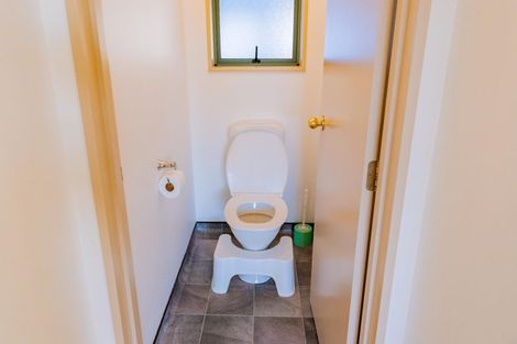 Photo of property in 17 Pekanga Drive, Fox Glacier, 7886