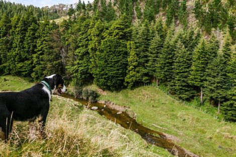 Photo of property in 6339 Matawai Road, Matawai, 4075