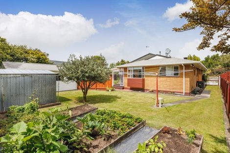 Photo of property in 18 Lane Place, Awapuni, Palmerston North, 4412