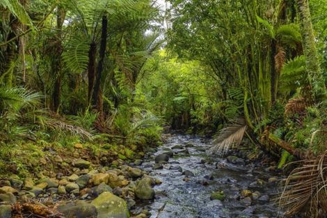 Photo of property in 17 Opanuku Road, Henderson Valley, Auckland, 0612