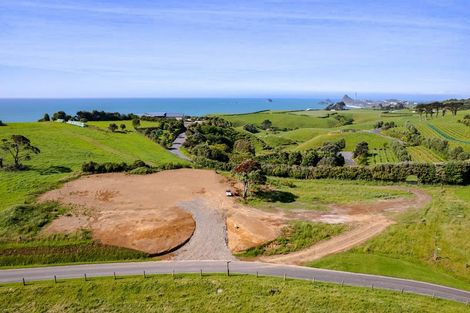 Photo of property in 29 Washer Road, Omata, New Plymouth, 4374