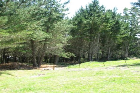 Photo of property in 4 Terrace Street, Matawai, 4075