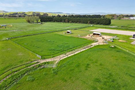 Photo of property in 51 Manukawiri Way, Martinborough, Greytown, 5794