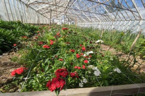 Photo of property in 94 Thews Road, Tinwald, Ashburton, 7778