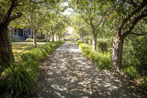 Photo of property in 196 Tinui Valley Road, Tinui Valley, Tinui, 5894