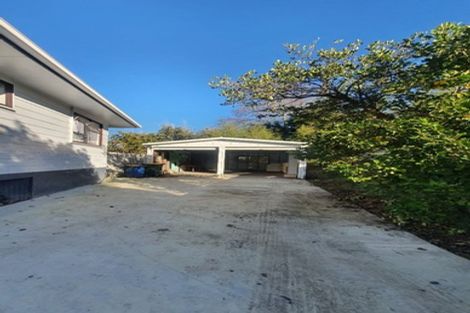 Photo of property in 55 Larissa Avenue, Henderson, Auckland, 0610