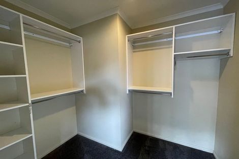 Photo of property in 69 Wayne Francis Drive, Flat Bush, Auckland, 2016