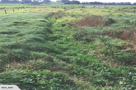 Photo of property in 517 Waitakere Road, Taupaki, Henderson, 0782