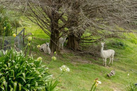 Photo of property in 488 Wharehine Road, Wharehine, Wellsford, 0973