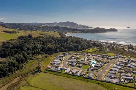 Photo of property in 325 Cook Drive, Whitianga, 3510